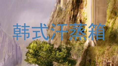 韩式汗蒸箱