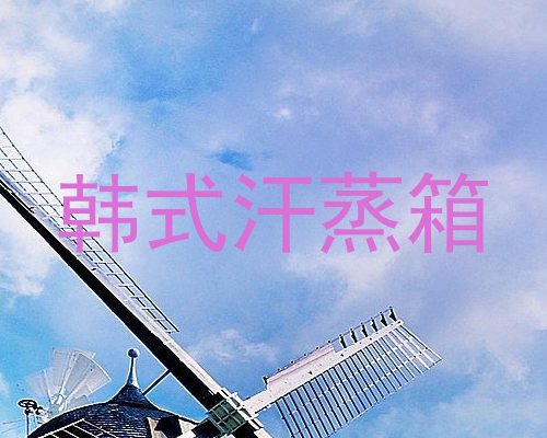 韩式汗蒸箱