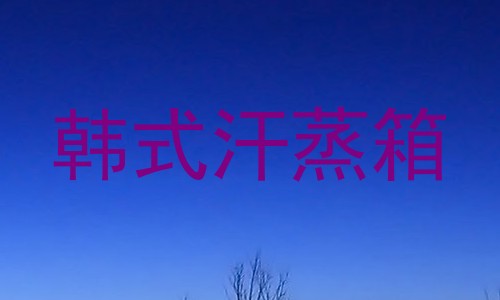 韩式汗蒸箱