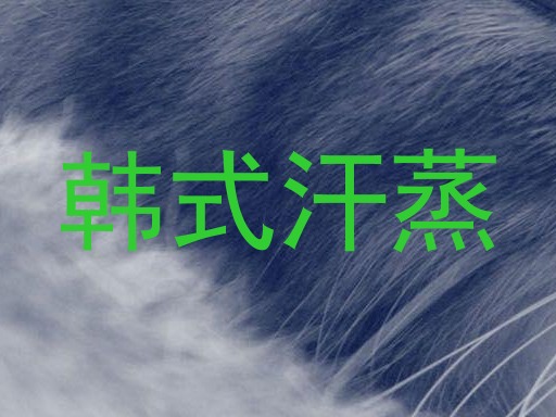 韩式汗蒸