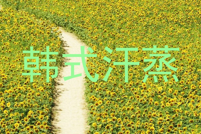 韩式汗蒸