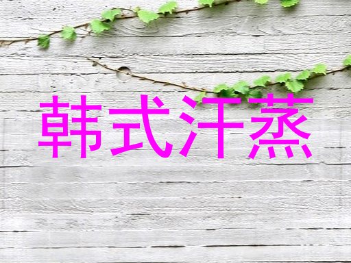 韩式汗蒸