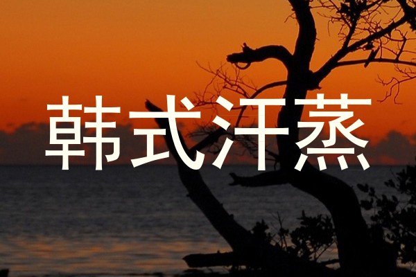 韩式汗蒸