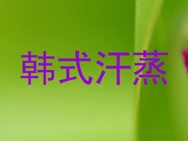 韩式汗蒸