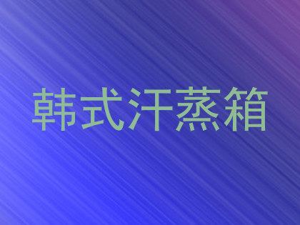 韩式汗蒸箱