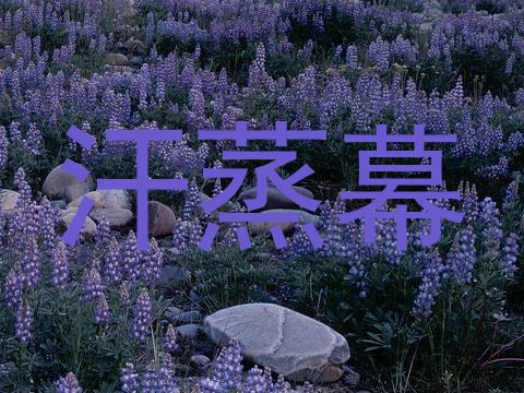 汗蒸幕