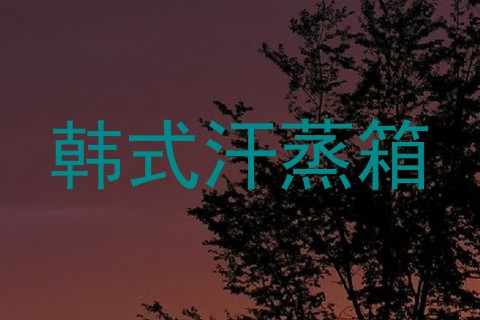 韩式汗蒸箱