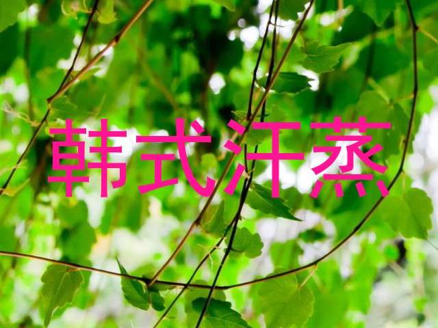 韩式汗蒸