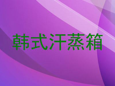 韩式汗蒸箱