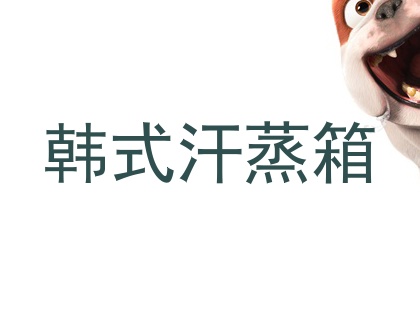 韩式汗蒸箱