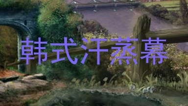 韩式汗蒸幕