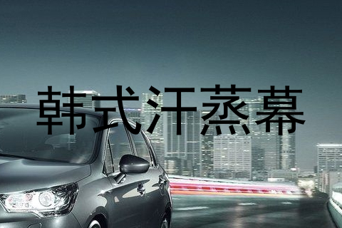 韩式汗蒸幕
