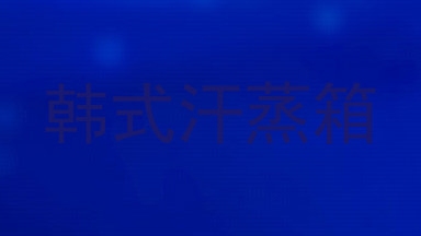 韩式汗蒸箱