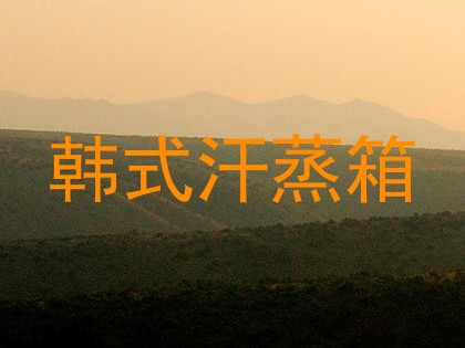 韩式汗蒸箱