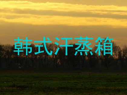 韩式汗蒸箱