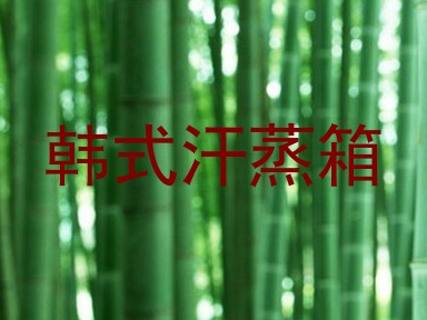 韩式汗蒸箱