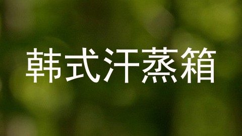 韩式汗蒸箱