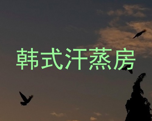 韩式汗蒸房