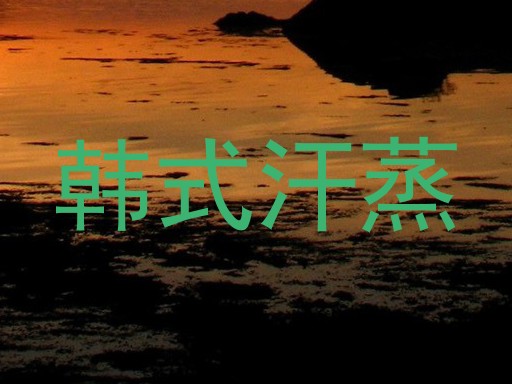 韩式汗蒸