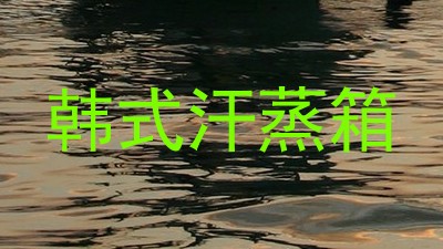 韩式汗蒸箱
