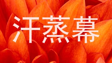 汗蒸幕