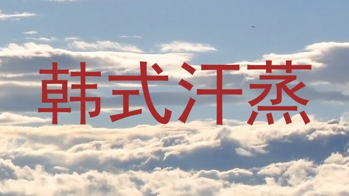 韩式汗蒸