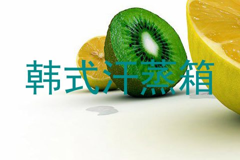 韩式汗蒸箱