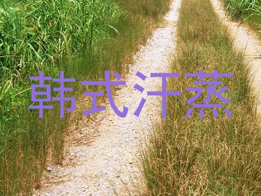 韩式汗蒸