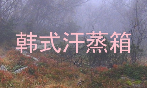 韩式汗蒸箱