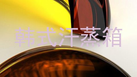 韩式汗蒸箱