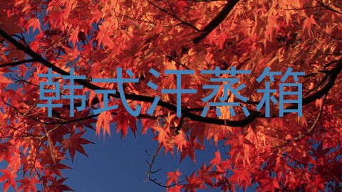 韩式汗蒸箱