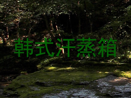 韩式汗蒸箱