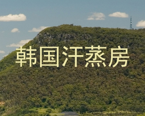 韩国汗蒸房