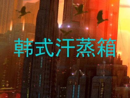 韩式汗蒸箱