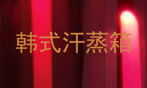 韩式汗蒸箱