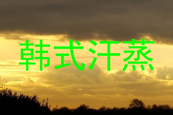韩式汗蒸