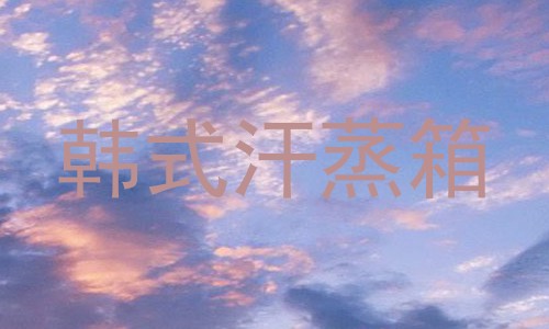 韩式汗蒸箱