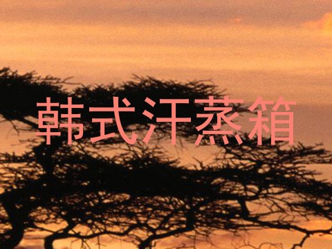 韩式汗蒸箱