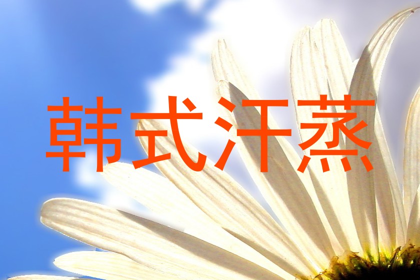 韩式汗蒸