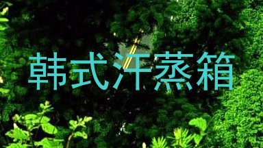 韩式汗蒸箱
