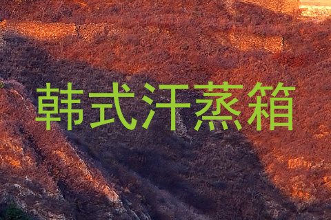 韩式汗蒸箱