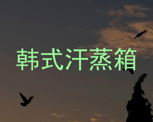 韩式汗蒸箱