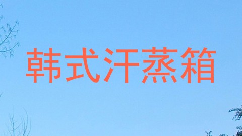韩式汗蒸箱