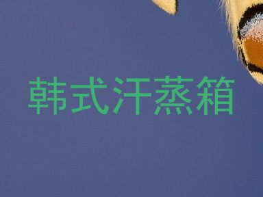 韩式汗蒸箱
