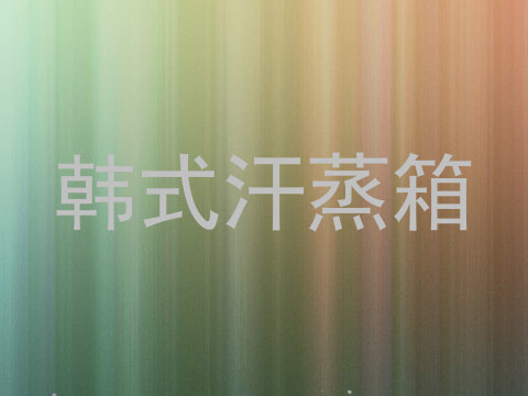韩式汗蒸箱