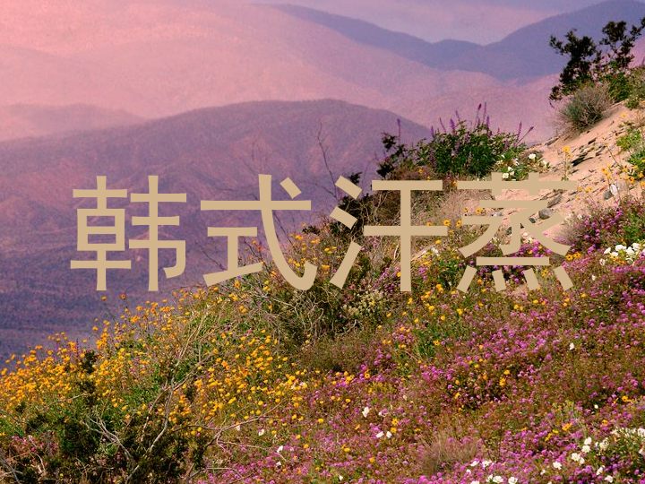 韩式汗蒸