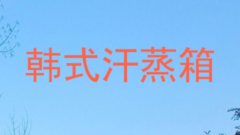 韩式汗蒸箱