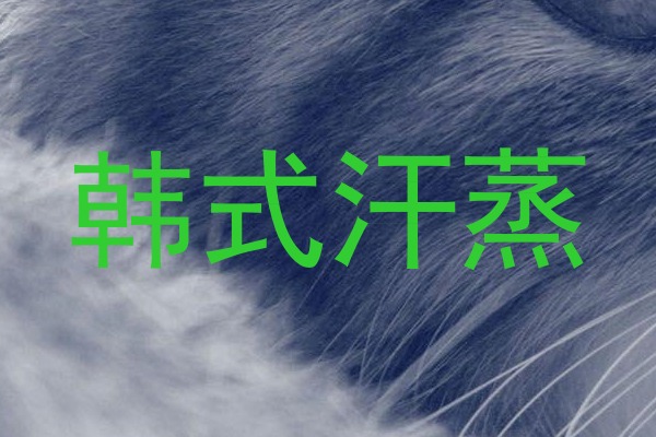 韩式汗蒸