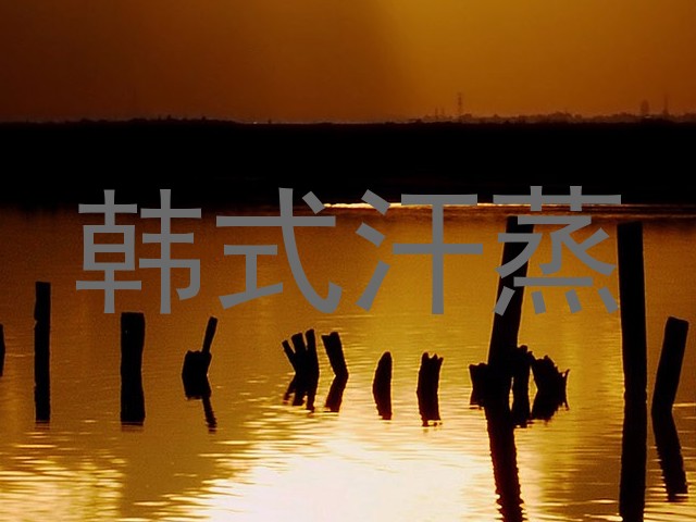 韩式汗蒸