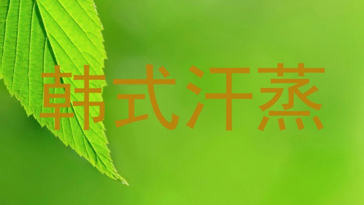 韩式汗蒸